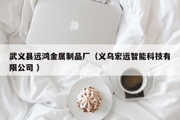 武義縣遠(yuǎn)鴻金屬制品廠（義烏宏遠(yuǎn)智能科技有限公司 ）